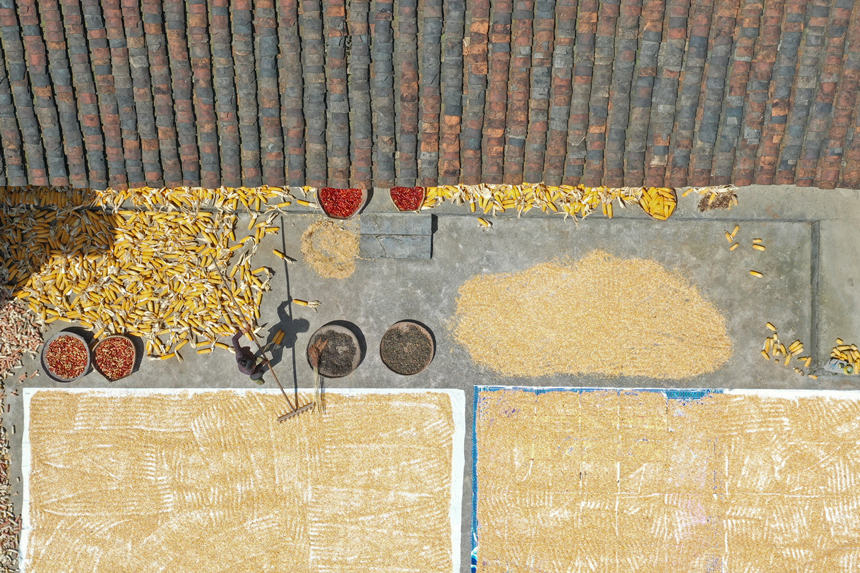 կСԺĵSյϲwz