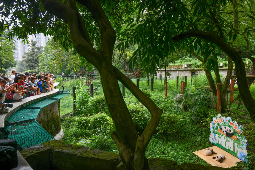 ؑc@p̥؈cοʽҊuz