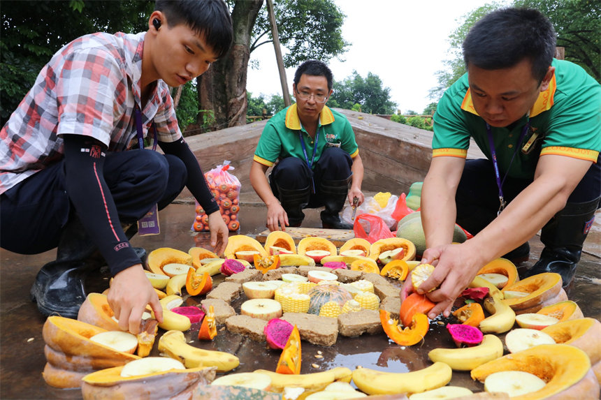 BTĹϹƴP˻ܹ㽶ʮNϹɽܔz