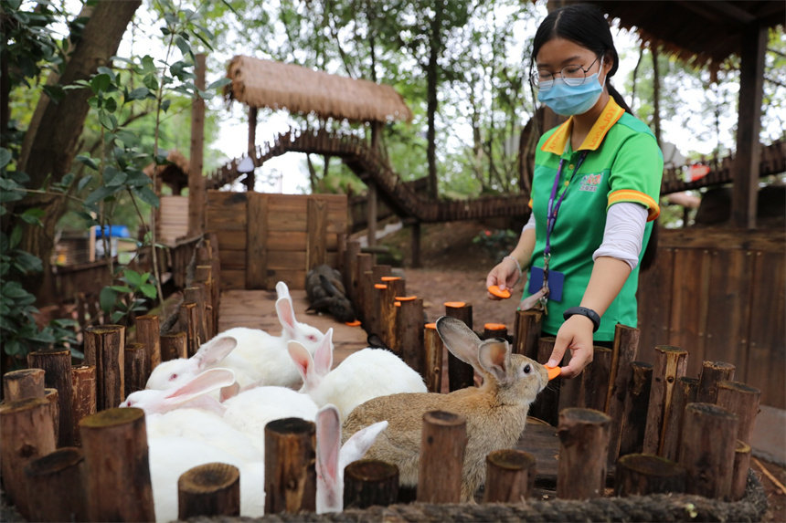 BTСͶʳӂġ}ɽܔz