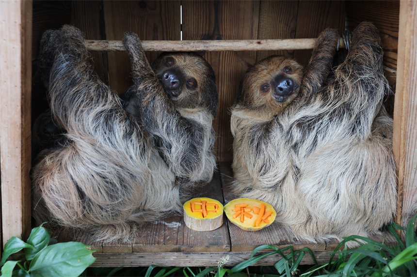 кġʽ_ĺӰɽܔz