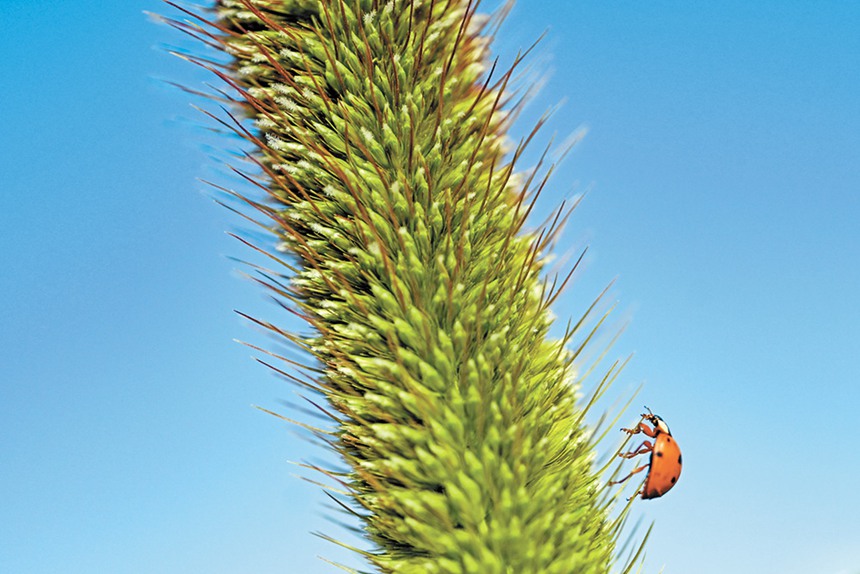 928ɹŞmɳĮɳĮԇлɳĮдƬֲSСxڴ˰