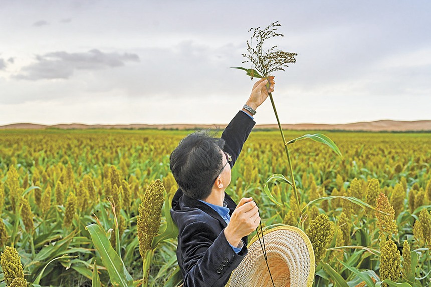 919ɹŞmɳĮɳĮԇлˆTڸռ