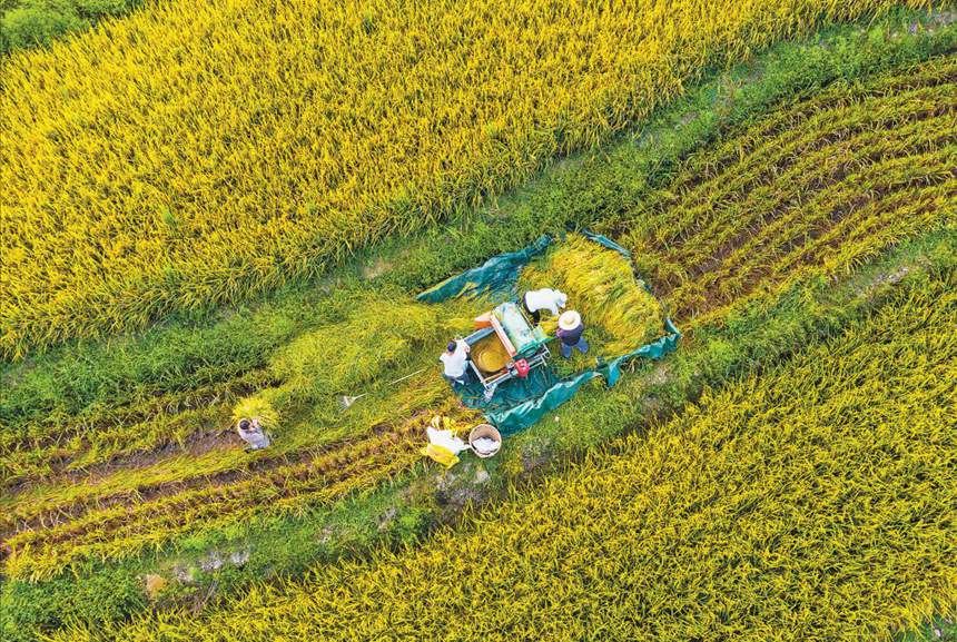 ĵSˡM 911ϴ^^}ոˮꐰȫ z