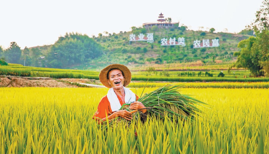 S 8ƽ^ӡһSվl z