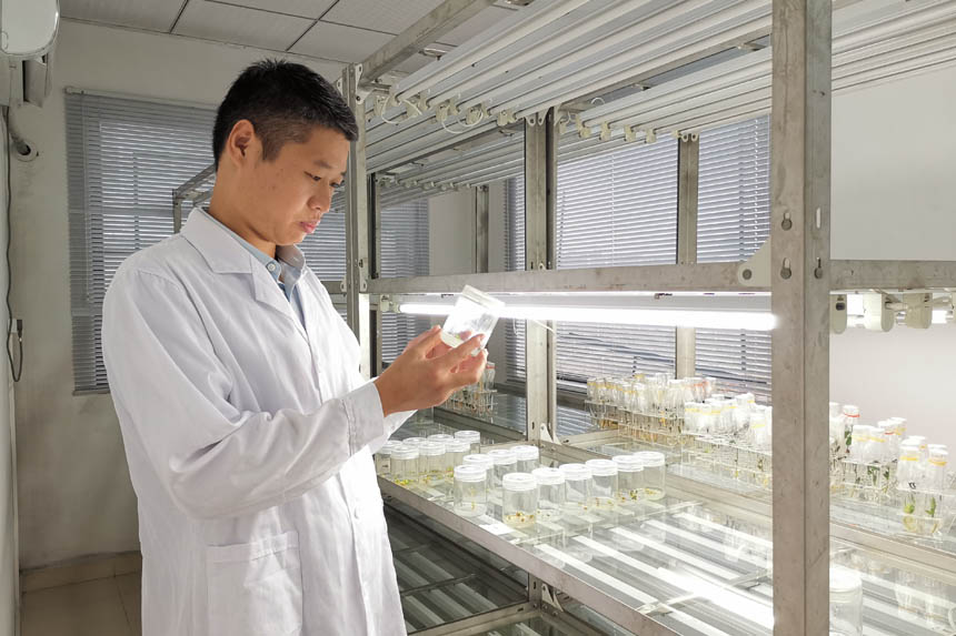 {飺wְrԺҵĹ؎СD