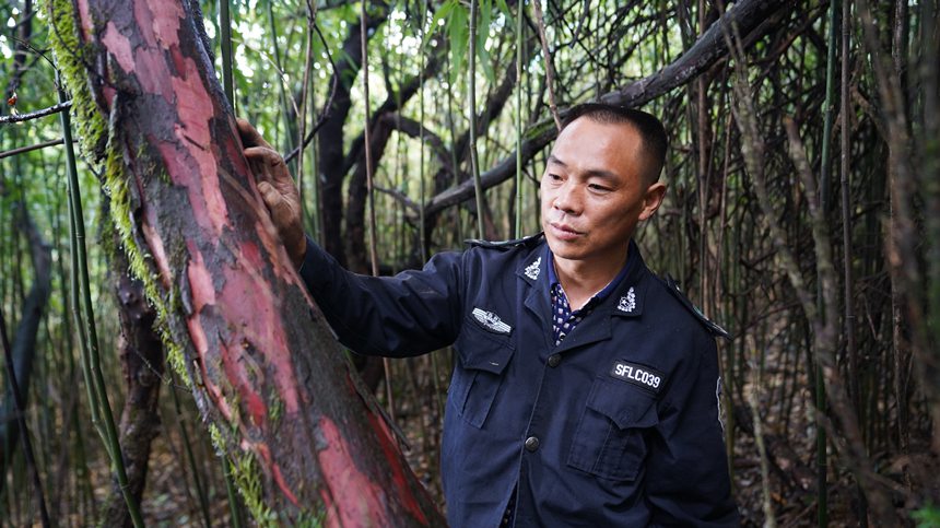 dAÿ¶Ѳo^ȵϷtɼAz