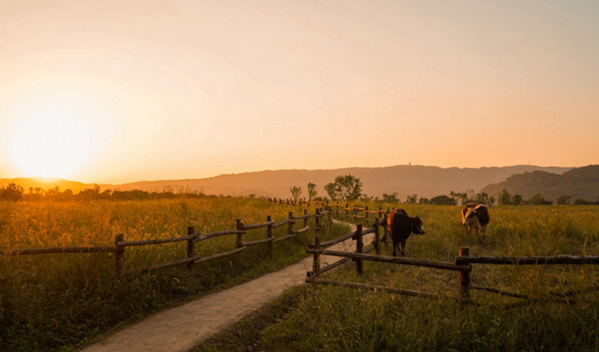 ݈VꖍuGɫlչ˾D