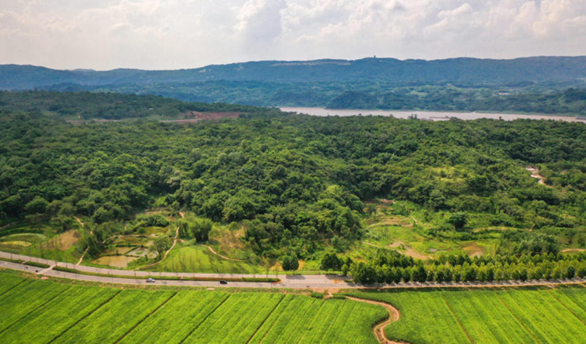 С΢VꖍuGɫlչ˾D