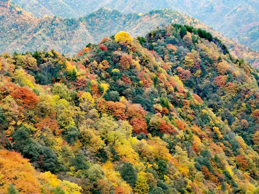 ؑcгǿڿhɽϲ~ֱMȾSMz