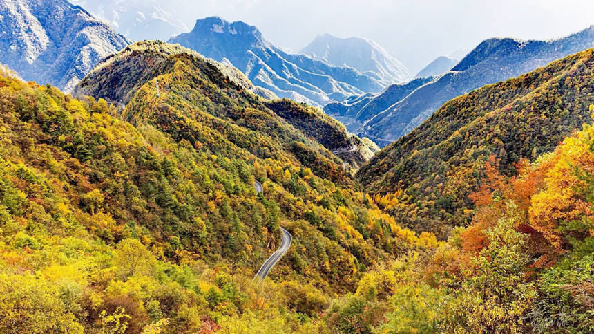 ɽX֮g~һXһXSMz