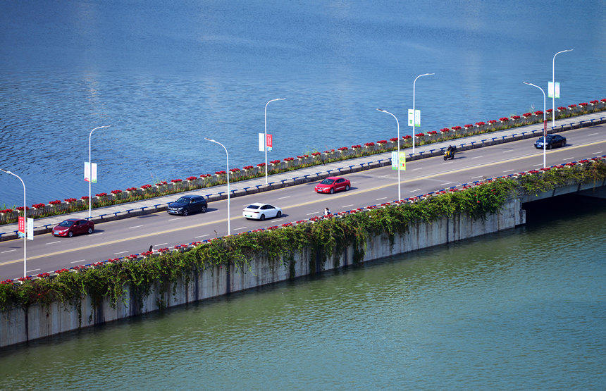 ؑcf݅^ߍ{ƽɫSz