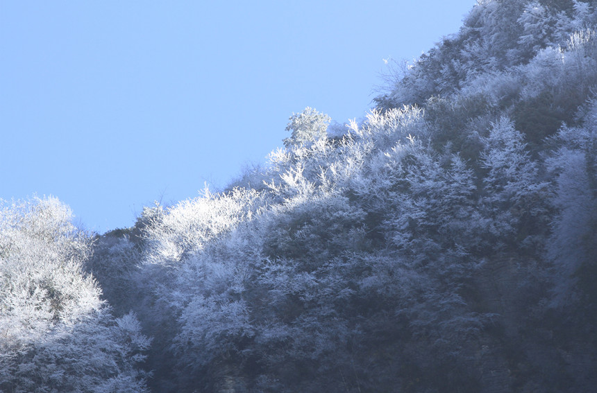 1110׍{֮pFFڡ^Rȑcz