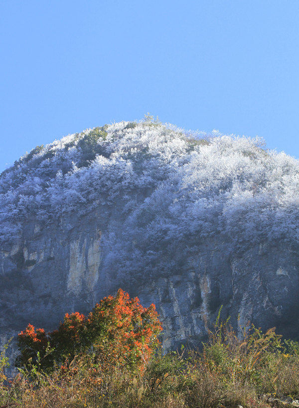 1110׍{֮pFFڡ^Rȑcz