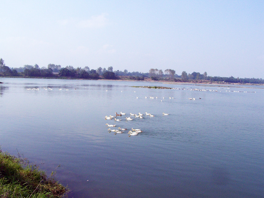 ؑcҝع@ؑc֘IֹD