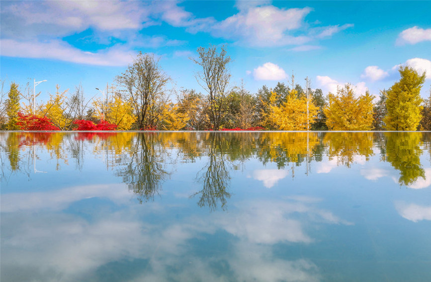 藍天彩林倒影水中，絕美如畫。武隆景區供圖