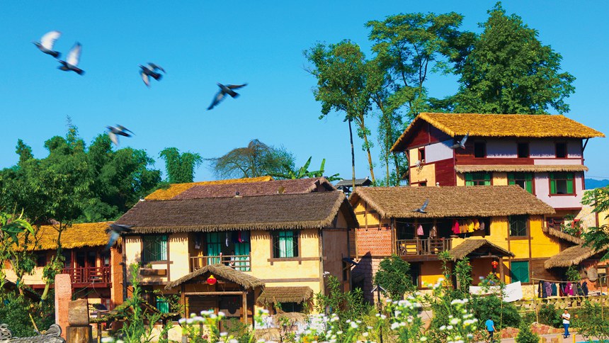 山^d¡悶YݻٲͥԺDؑcסlίD