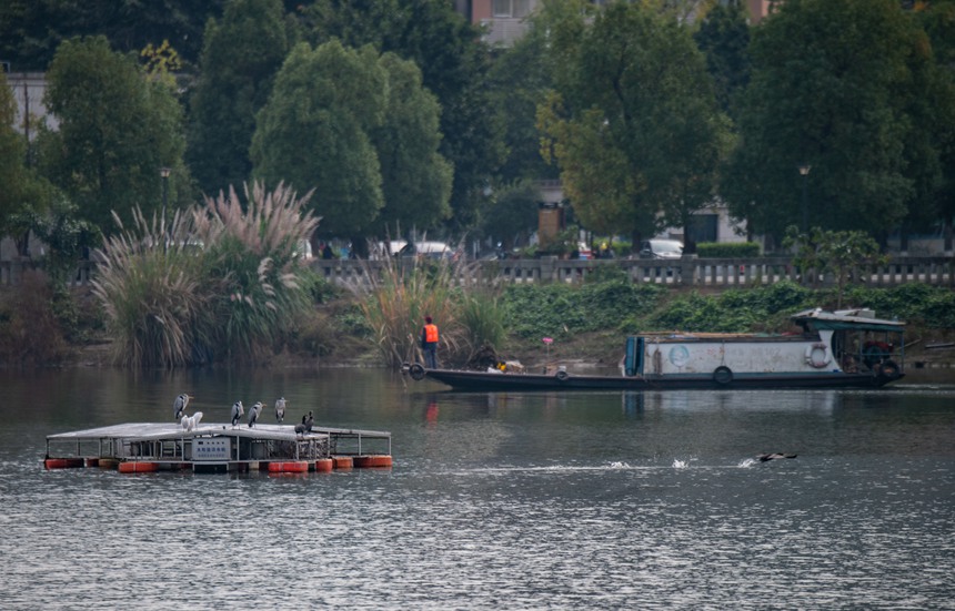 B̫ܻˮCЪ_Ư߅^Ƚ܊z