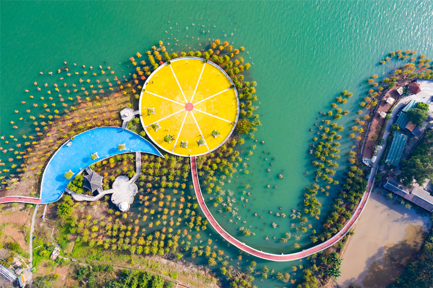 _VIʮLȺ͡ˮɭ֡γһnLsvz