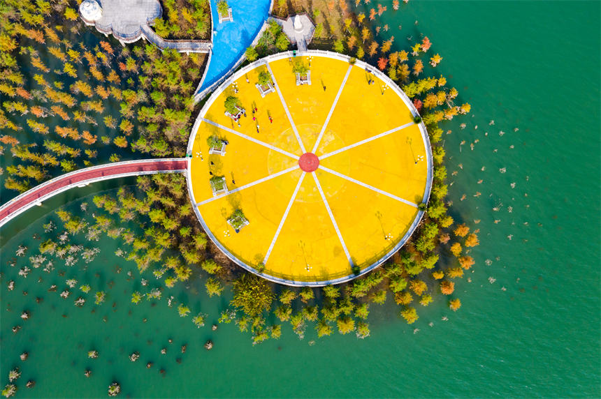 _VIʮLȺ͡ˮɭ֡γһnLsvz