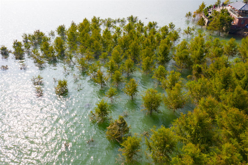 ɽɼMһˮɭ־^svz