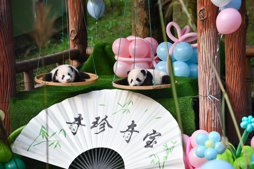 ؑcp̥؈䡱挚Muz