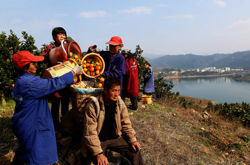 ѽɞɽ¸ġRȑcz