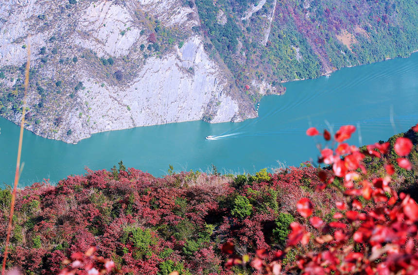 ؑcɽhLɰļt~ɽҰRȑcz