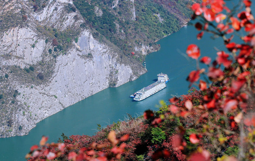 ؑcɽhLɰļt~ɽҰRȑcz