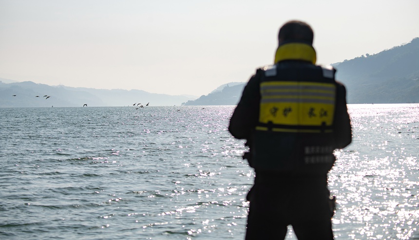 oO꠆TLֶѲ߉Ƚ܊z