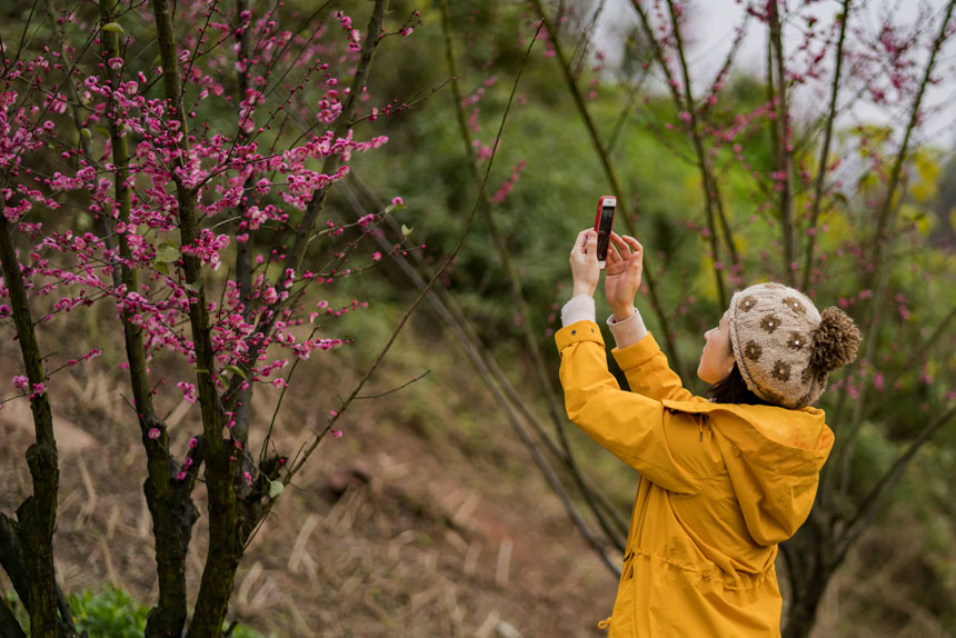 ο֙CӛRĴܶÕrSMz