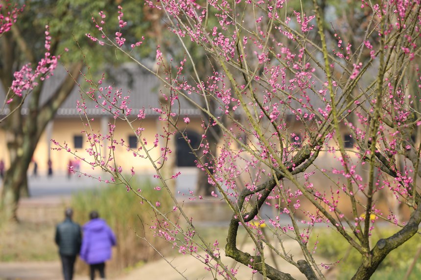 Vꖍu÷`o򴺁ؑc_^D