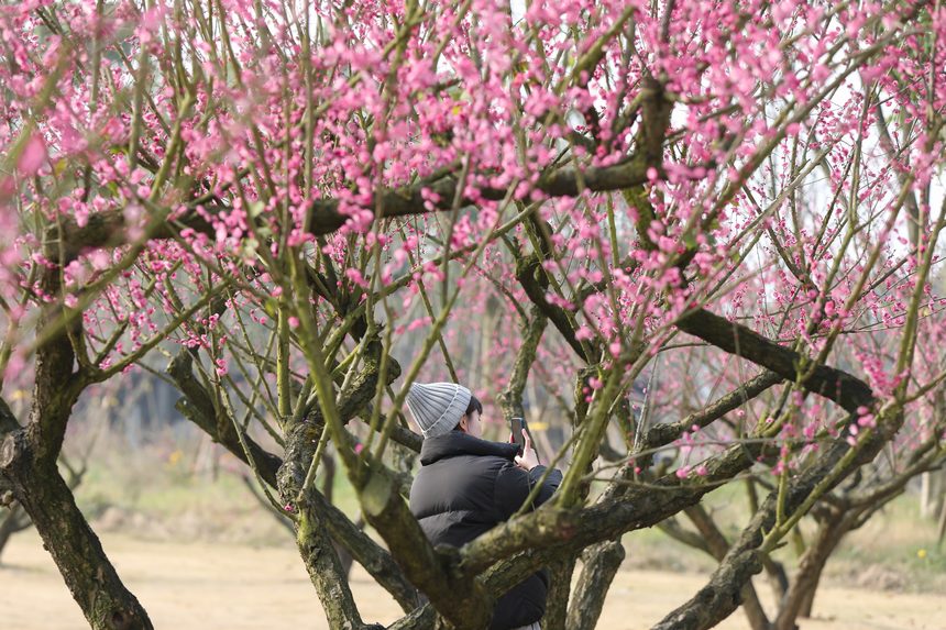 Vꖍu÷`o򴺁ؑc_^D