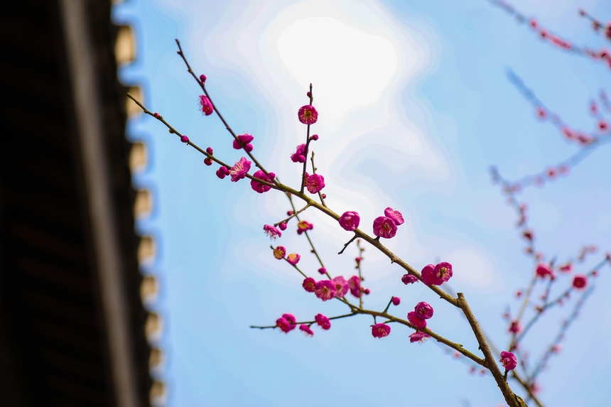 Vꖍu÷`o򴺁ؑc_^D