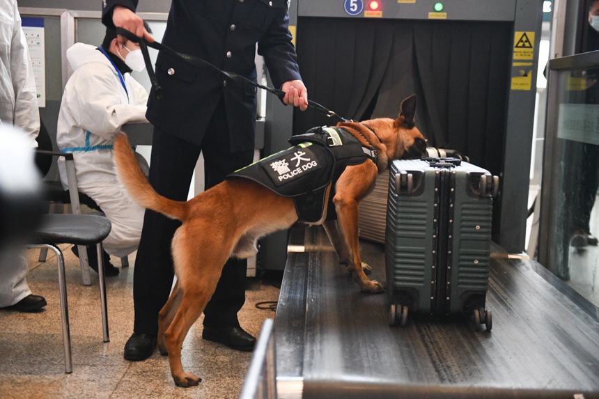 ؑcF·̎ľȮؑcվVѱ_\ȫuz