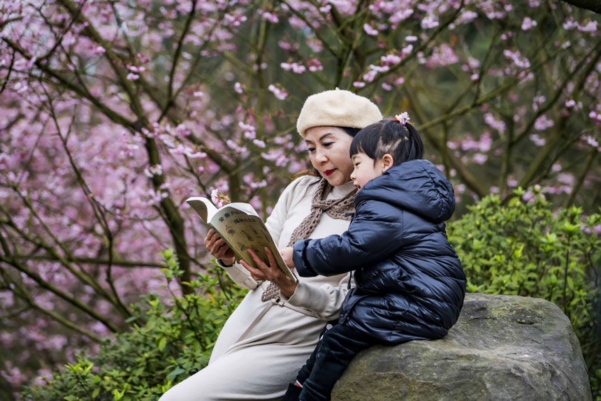 ɽֲ@ѻ`οǰ^pSMz