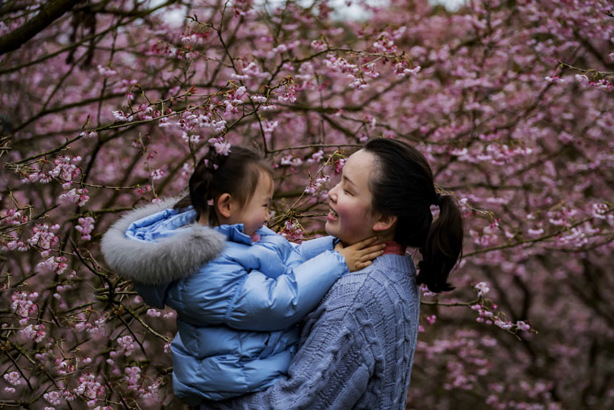 ɽֲ@ѻ`οǰ^pSMz