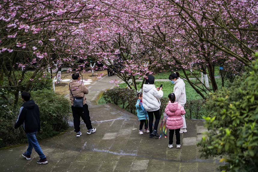 ɽֲ@ѻ`οǰ^pSMz