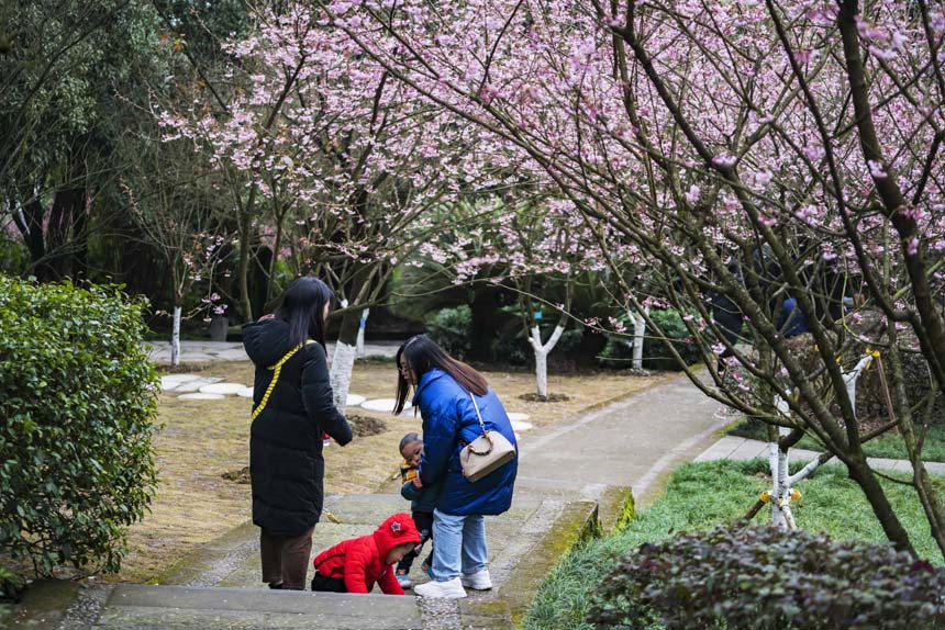 ɽֲ@ѻ`οǰ^pSMz