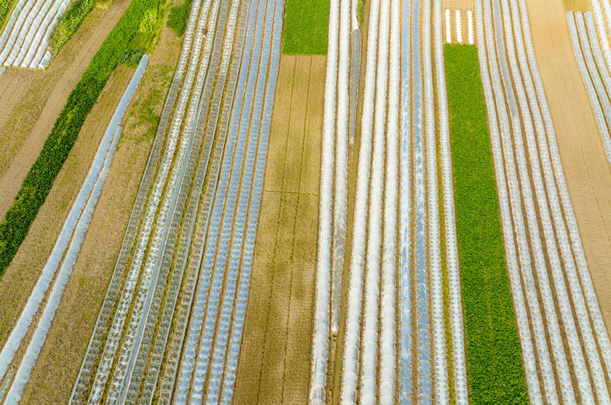 ؑcϴдץrr_չNoؔz