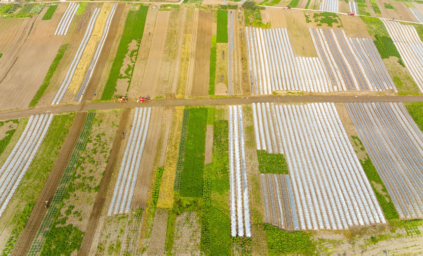 ؑcϴдץrr_չNoؔz