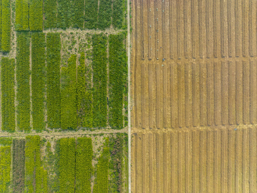 ؑcϴдץrr_չNoؔz