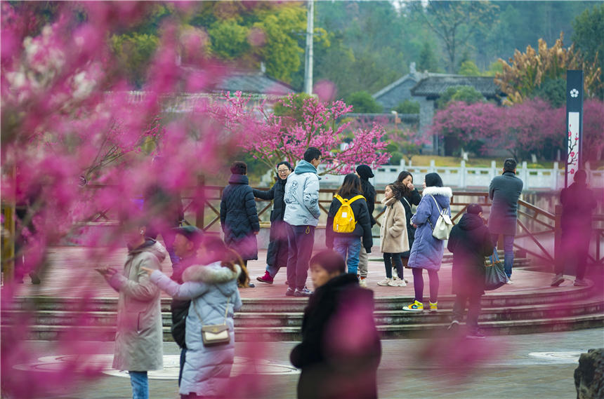 ÷@÷m`˲οĽz