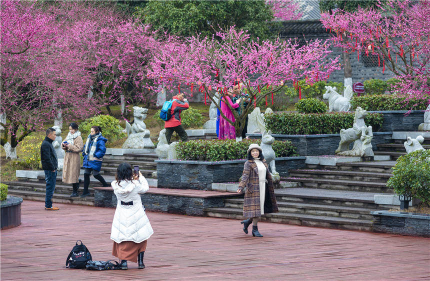 Ȼ_ŵ÷οǰpz