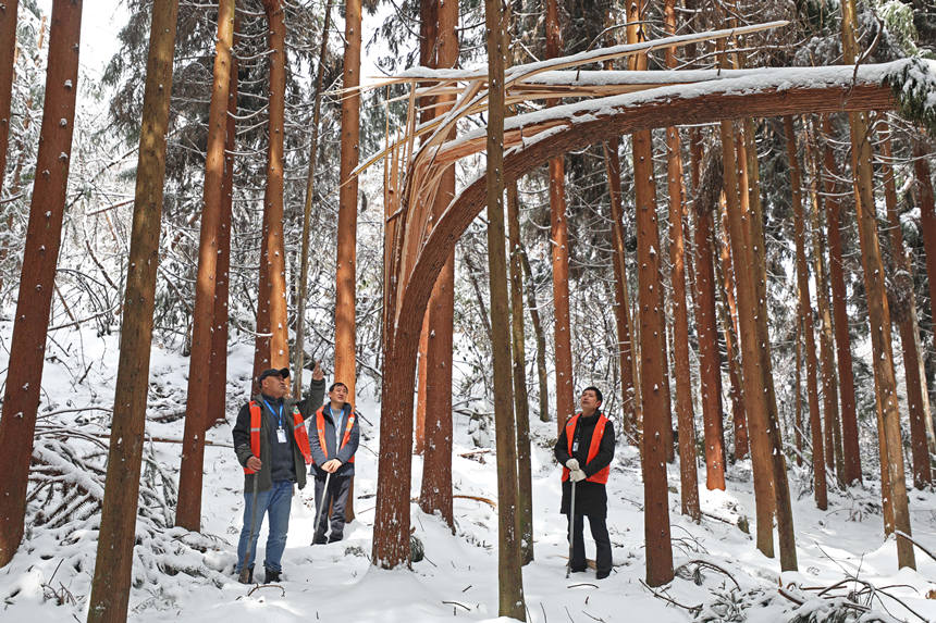 3oֆT鿴eѩĘľwz