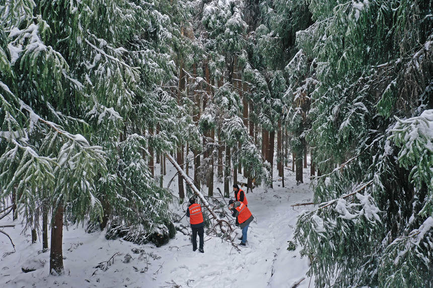 toվoֆTrϱօ^ȫwz