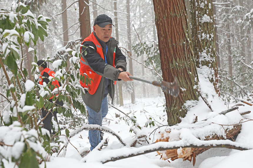 ȽСڲ鿴ľܓprwz