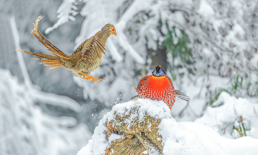 t\uB󣩺ͼtBңz