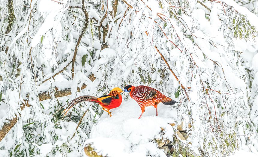 t\uB󣩺ͼtBңz