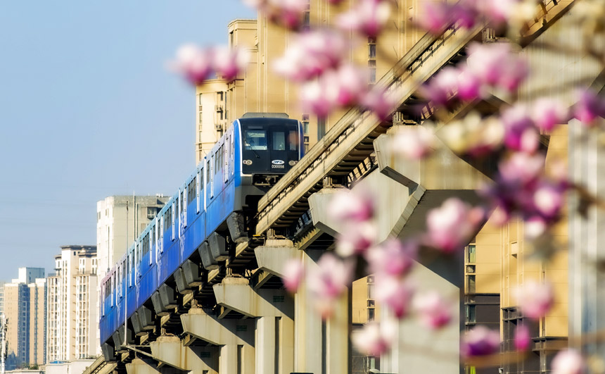 p܉܇ڻСԽһĴ쮋oؔz